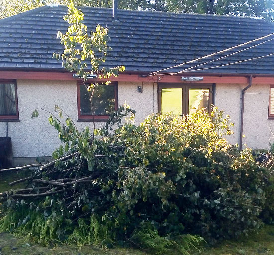 Garden Rubbish Clearance Bearsden